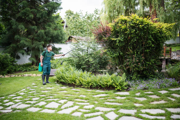 Best Commercial Pest Control Services  in Basin, WY