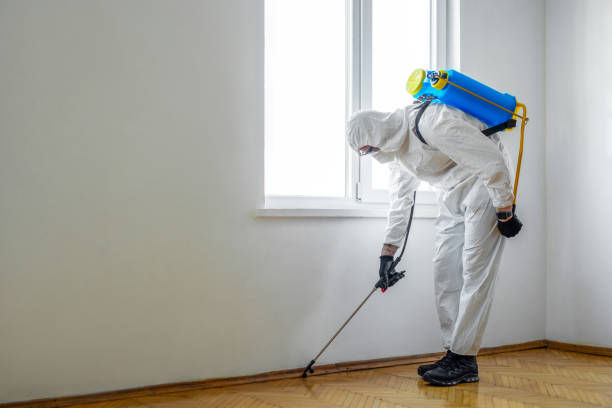 Best Emergency Pest Control  in Basin, WY
