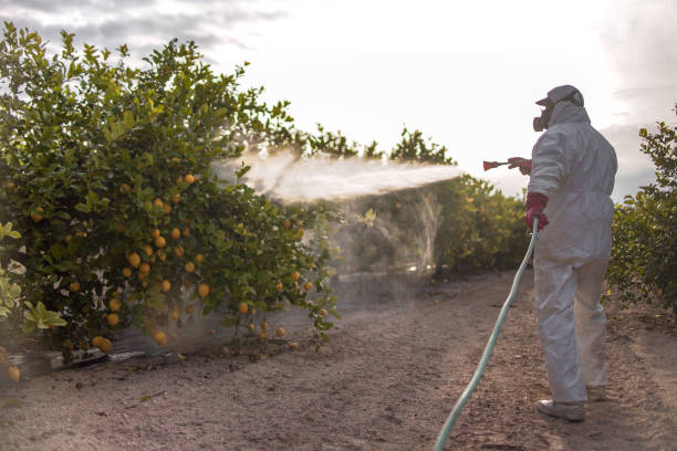 Best Best Pest Control Near Me  in Basin, WY