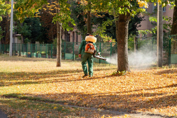 Best Commercial Pest Control Services  in Basin, WY